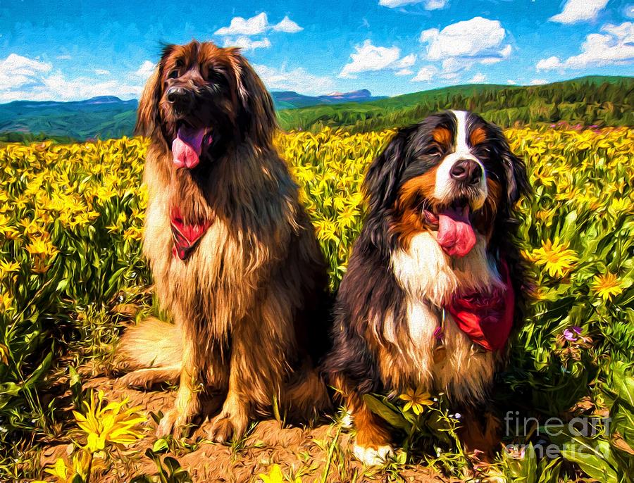 Bernese Mountain Dog and Leonberger Among Wildflowers Painting by Gary Whitton