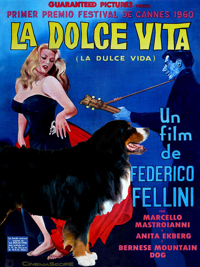 Dog Painting - Bernese Mountain Dog Art Canvas Print - La Dolce Vita Movie Poster by Sandra Sij