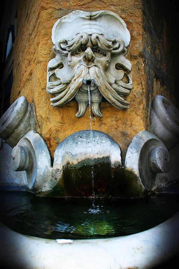 Bernini Fountain Photograph by Henry Kowalski