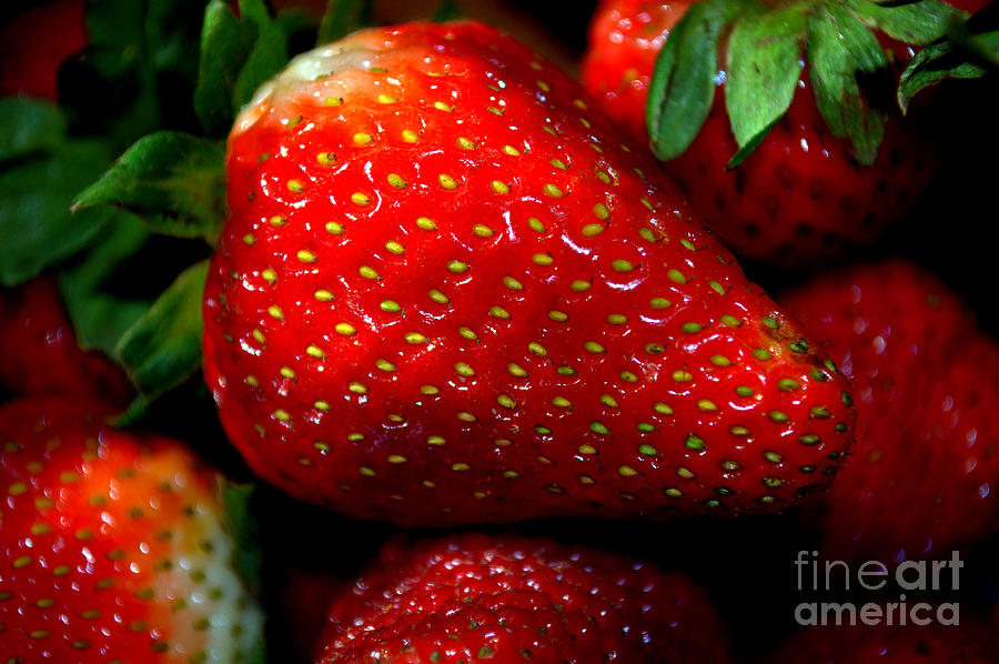 Strawberry Photograph - Berries by Anjanette Douglas