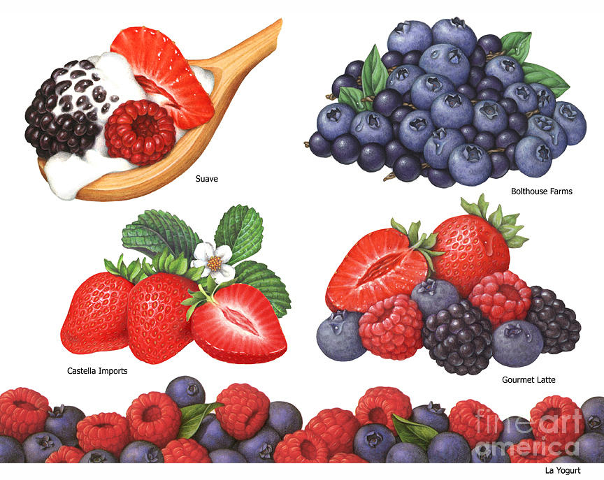 Strawberry Painting - Berries by Douglas Schneider