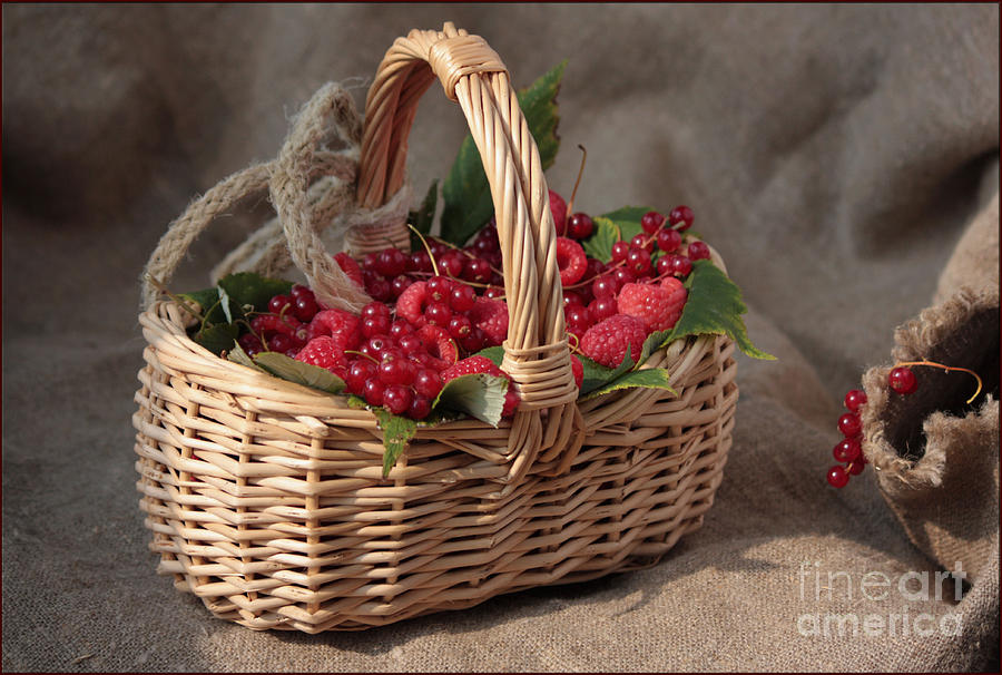 Still Life Photograph - Berries In A Basket by Luv Photography