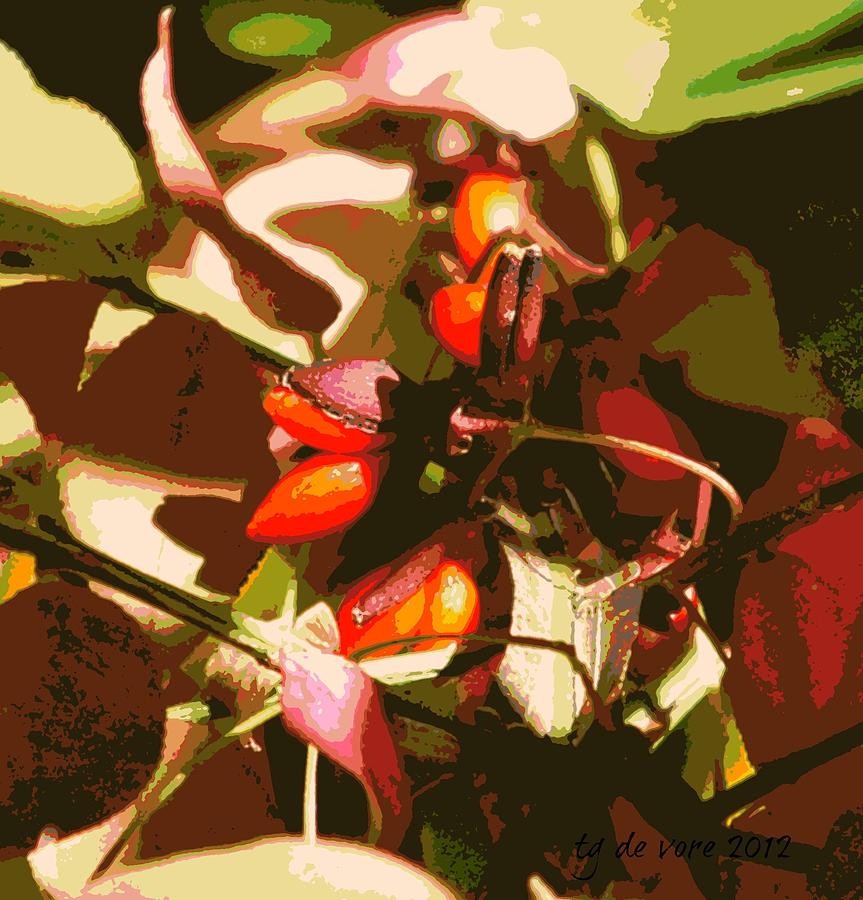 Berry Abstract Digital Art by Tg Devore