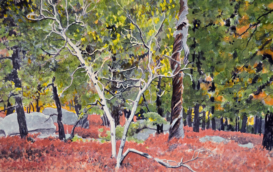 Landscape Painting - Berry Flats In Fall by Thomas Stratton Landscape Painting - Berry Flats In Fall by Thomas Stratton