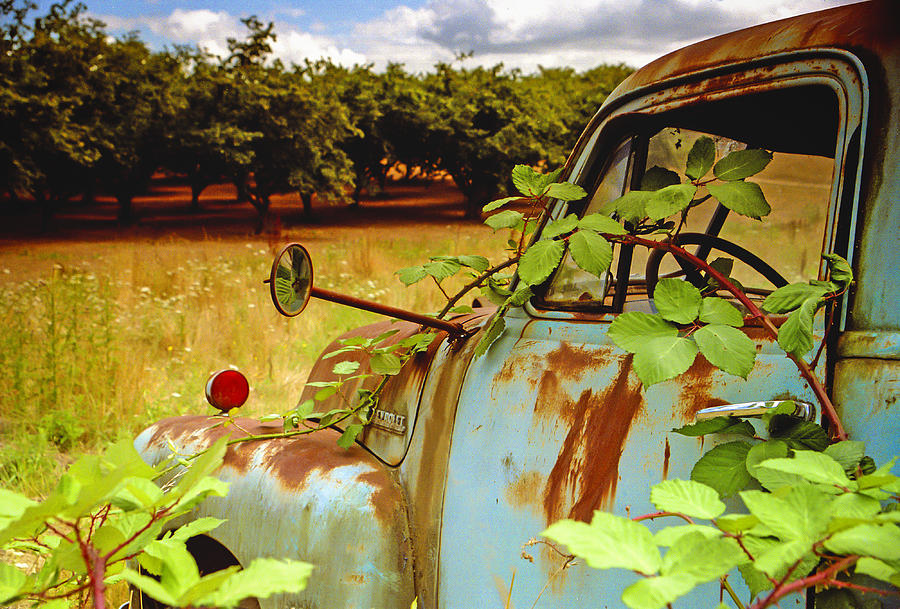 Berry Old Truck 2 Photograph by Jean Noren