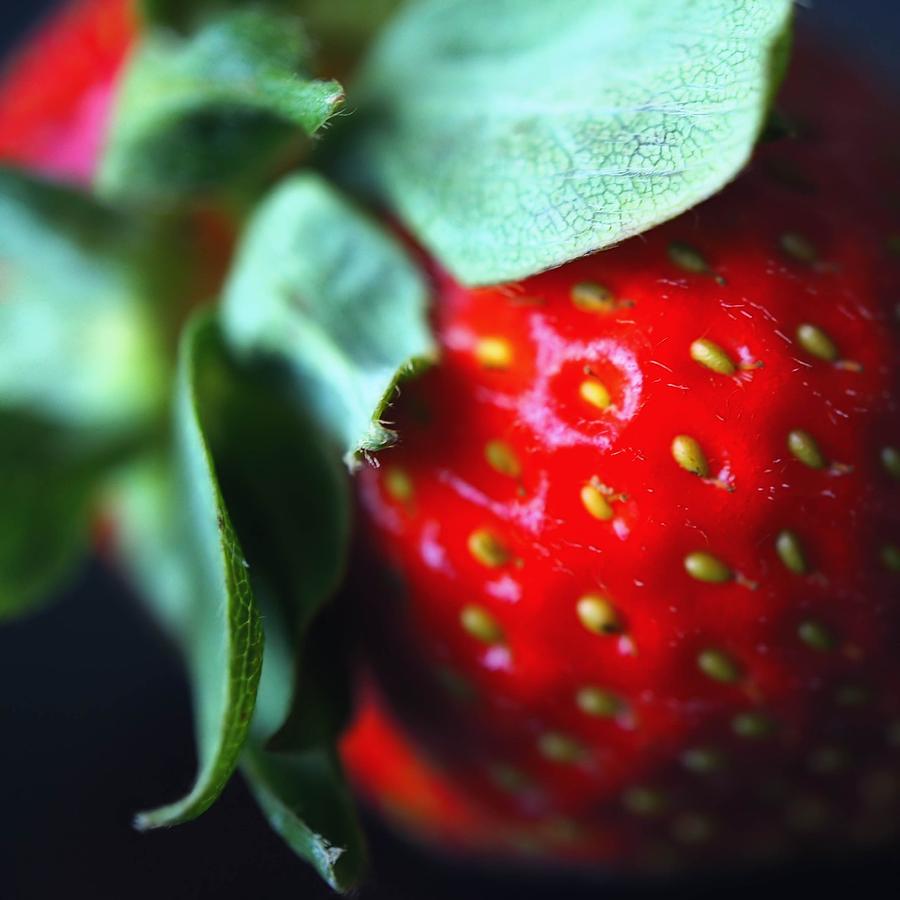 Strawberry Photograph - Berry Red by Jenny Hudson