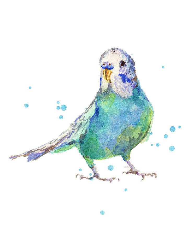 Parakeet Painting - Bertie Wonderblue the Budgie by Alison Fennell