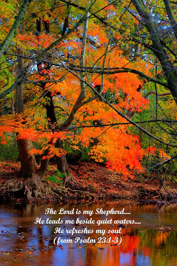 Fall Photograph - Beside Still Waters Psalm 23.1-3 - From Fire in the Creek B1 - Owens Creek Frederick County MD by Michael Mazaika