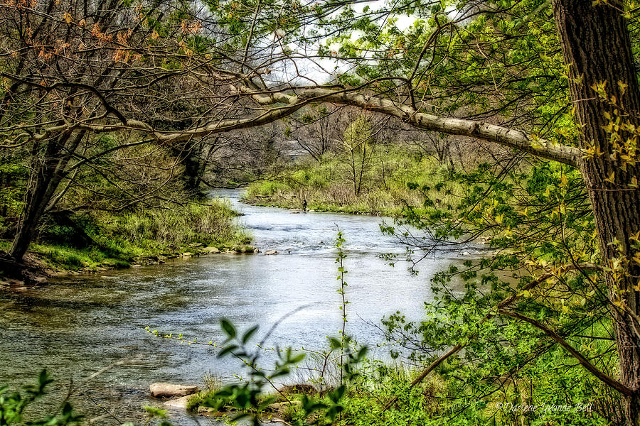 Stream Photograph - Beside The Stream by Darlene Bell Stream Photograph - Beside The Stream by Darlene Bell