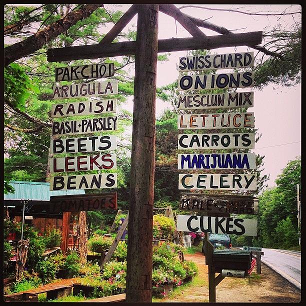 Best. Farm Stand. Ever Photograph by Jim Storer