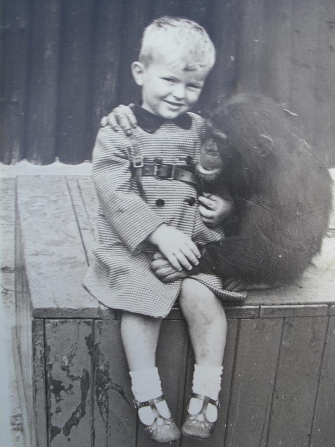 Chimpanzee Photograph - Best friends by Godfrey McDonnell