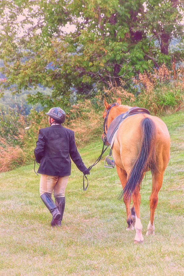 Horse Photograph - Best Friends by Karol Livote