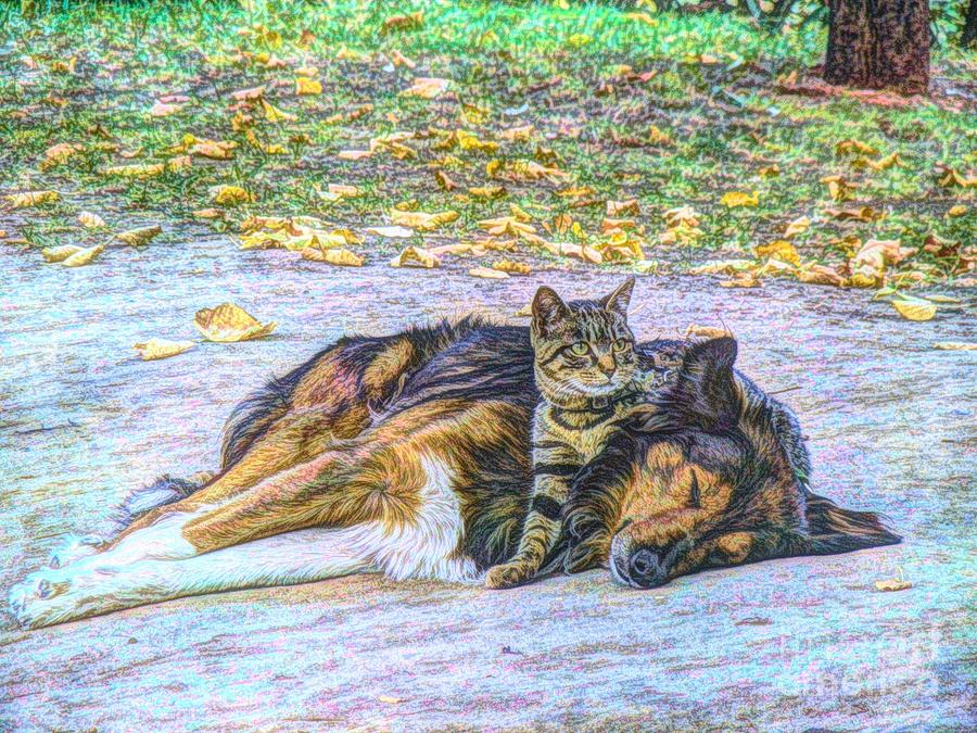 Cat Digital Art - Best Friends by Lilian F Norris