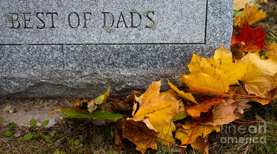 Best of Dads Photograph by Amy Cicconi