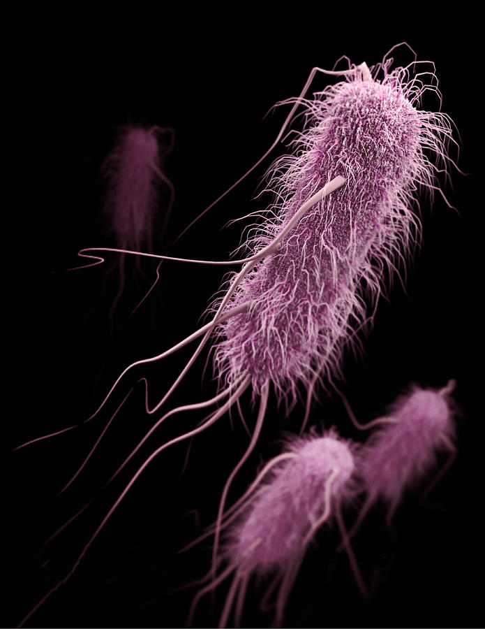 Beta-lactamase, Enterobacteriaceae, 3d Photograph by Science Source