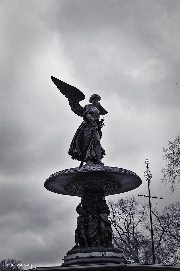 Bethesda Fountain Photograph by Fran Gallogly