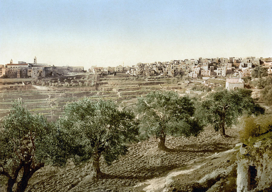 1895 Painting - Bethlehem Davids Well by Granger 1895 Painting - Bethlehem Davids Well by Granger