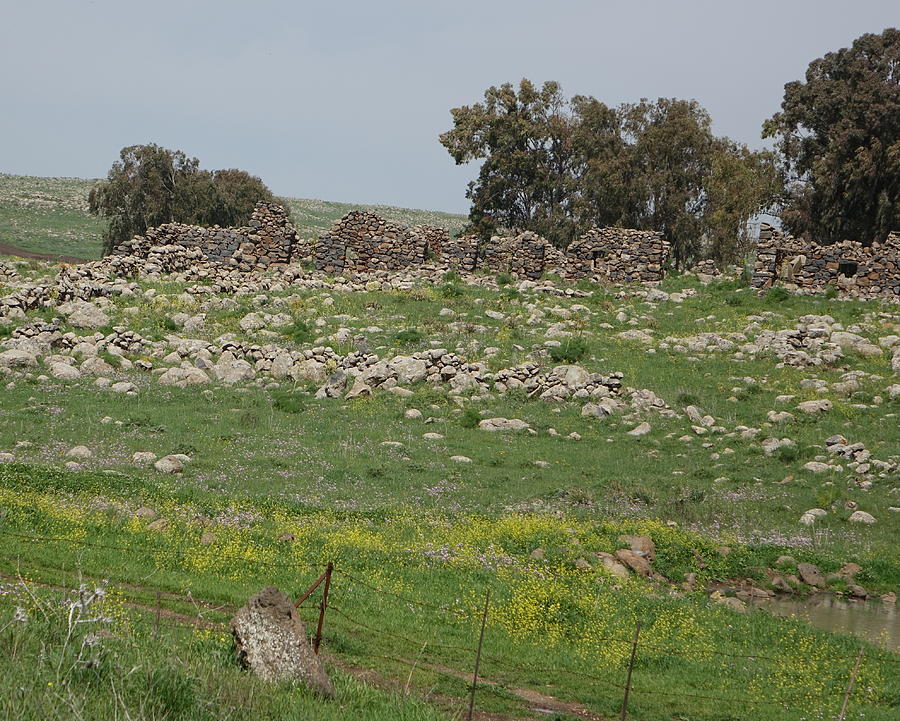 Ruins from Ancient Bethsaida Photograph by Rita Adams