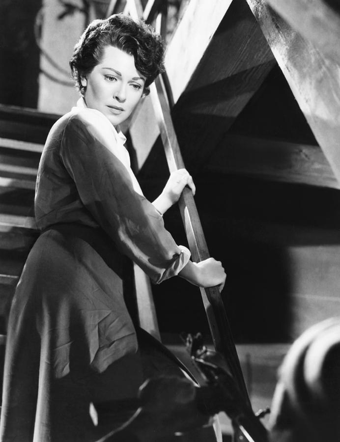 Betrayed, Lana Turner, 1954 Photograph by Everett
