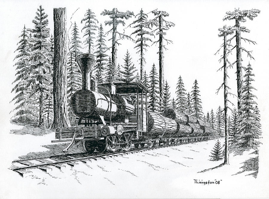 Betsy Drawing by Timothy Livingston