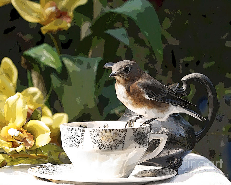 Betty Bluebird in Luanas Garden Cafe Photograph by Luana K Perez