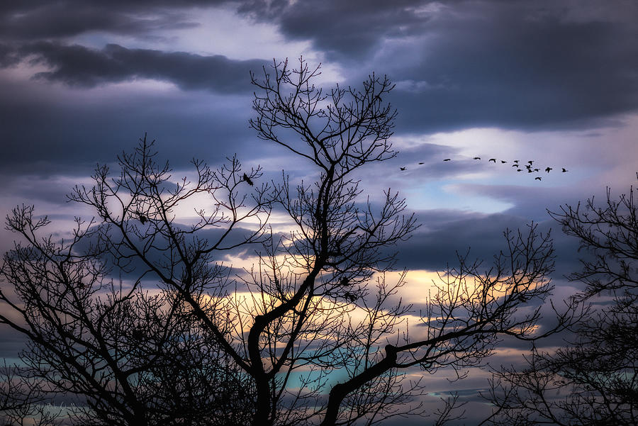 Between Seasons Photograph by Bob Orsillo