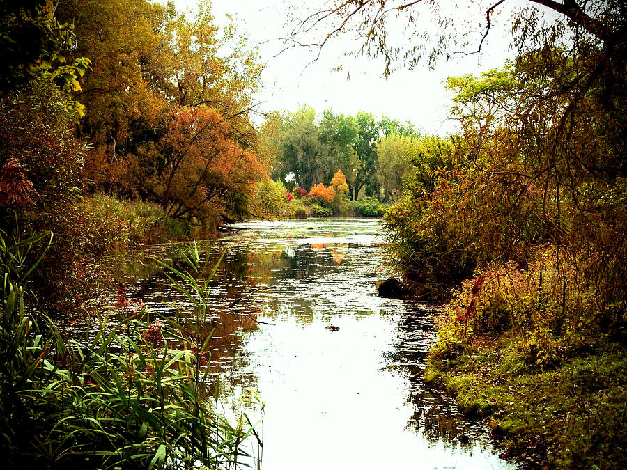 Between Summer and Fall Photograph by Michael Wickham - Fine Art America
