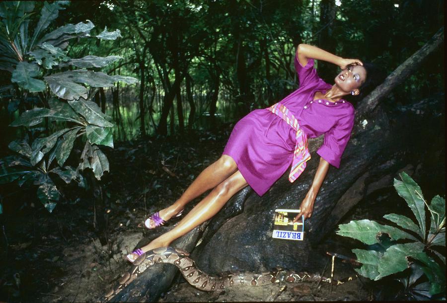 Nature Photograph - Beverly Johnson Wearing Anne Klein by Kourken Pakchanian