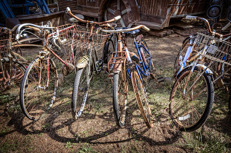 Fall Photograph - Bevy of Bicycles by Debra and Dave Vanderlaan