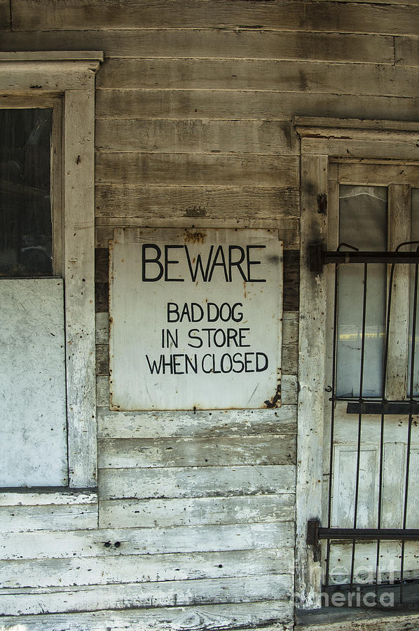 Beware Bad Dog Photograph by Terry Rowe
