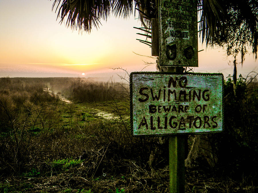 Sign Photograph - Beware of Alligators by Christy Usilton