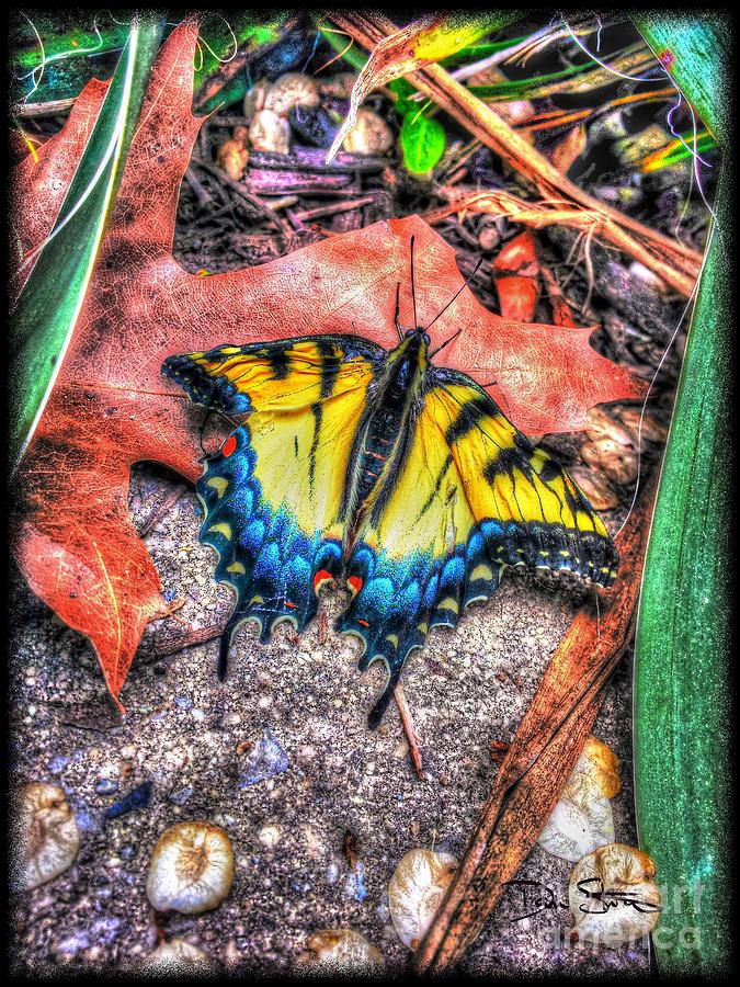 Beyond Chrysalis-Tiger Swallowtail Photograph by Dan Stone