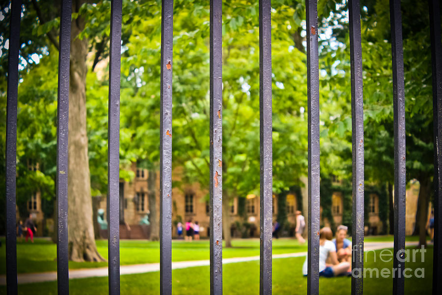 Beyond the Campus Gates Photograph by Colleen Kammerer