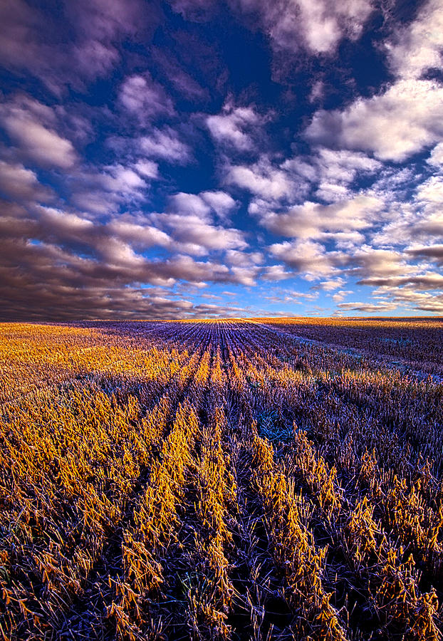 Landscape Photograph - Beyond the Fall by Phil Koch