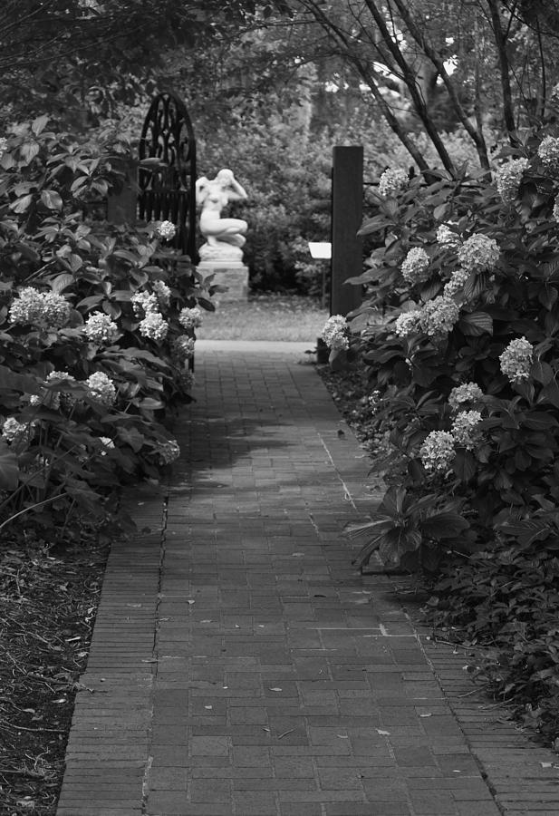 Beyond the Garden Gate - Black and White Photograph by Suzanne Gaff