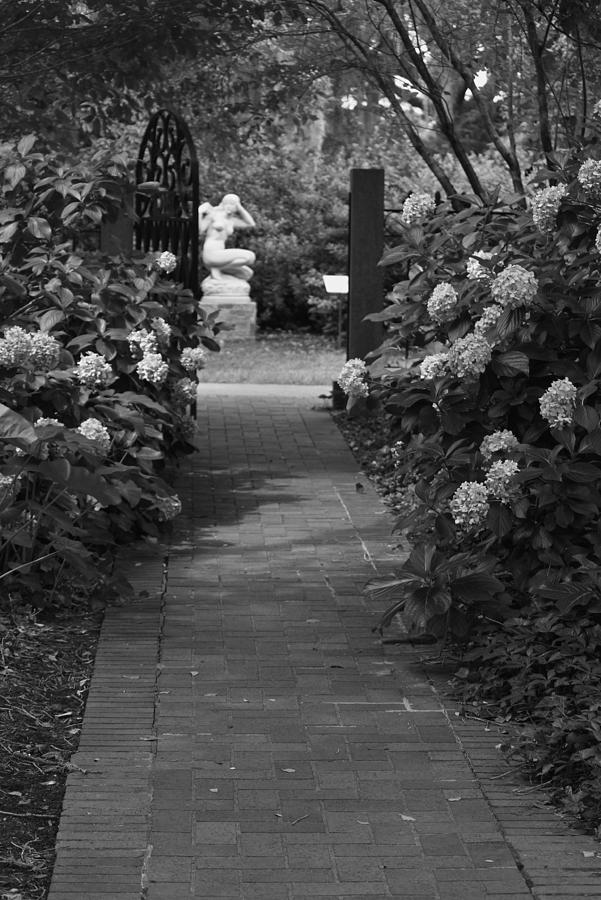 Beyond the Garden Gate in Black and White Photograph by Suzanne Gaff