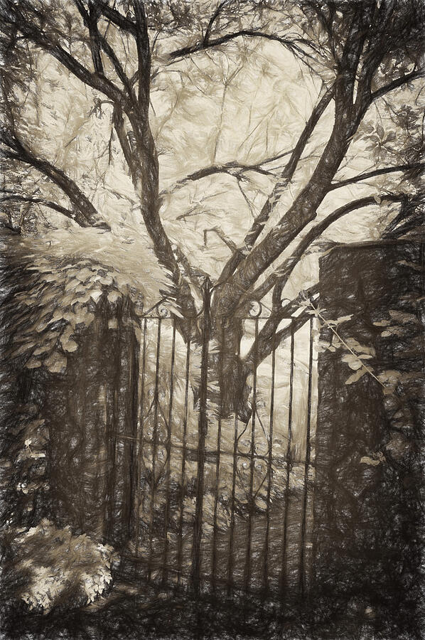 Beyond the Gate Photograph by Paul W Faust -  Impressions of Light