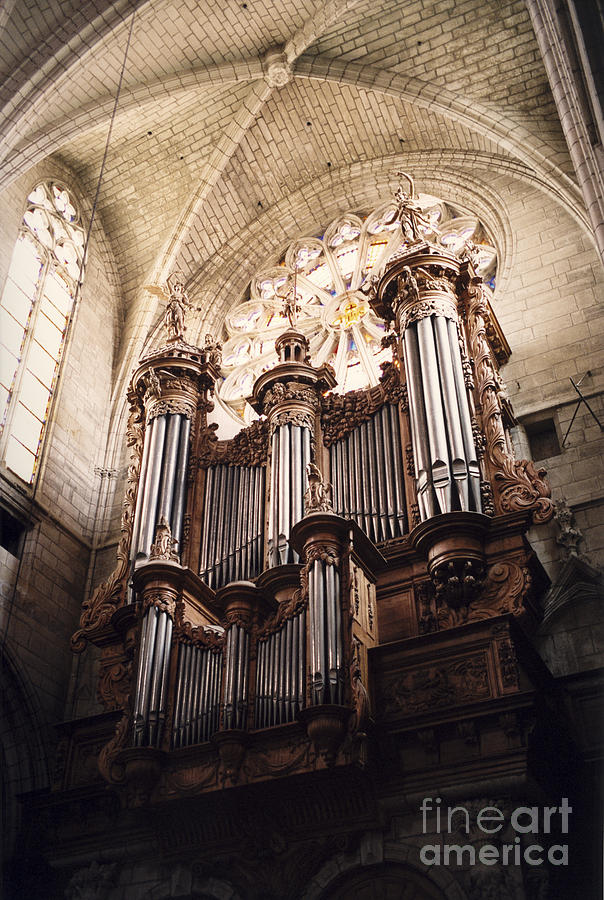 Beziers Organ Photograph by Riccardo Mottola