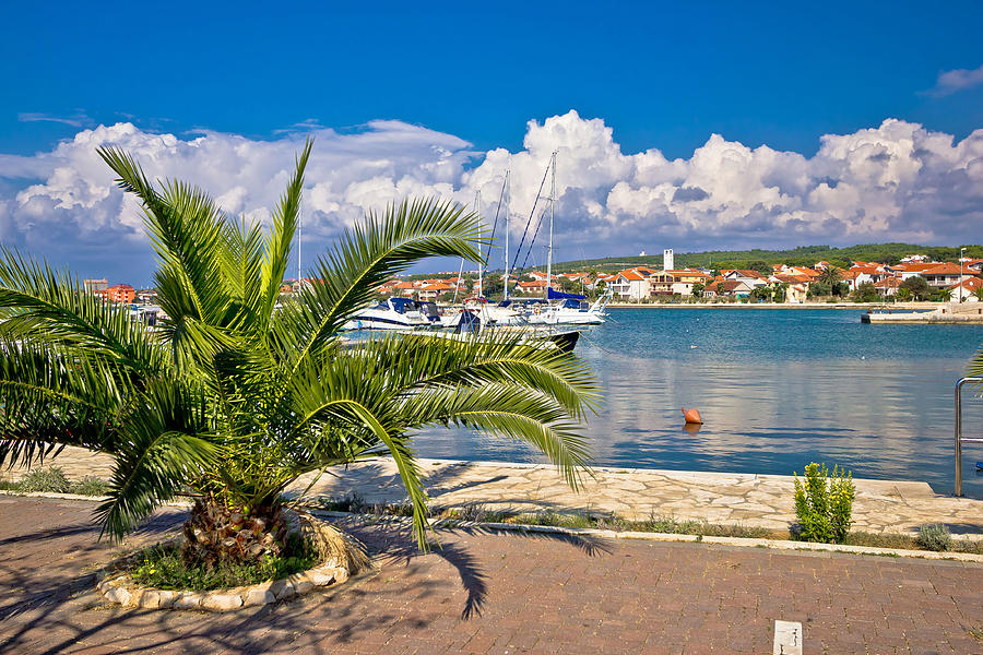 Boat Photograph - Bibinje village in Dalmatia waterfront view by Brch Photography