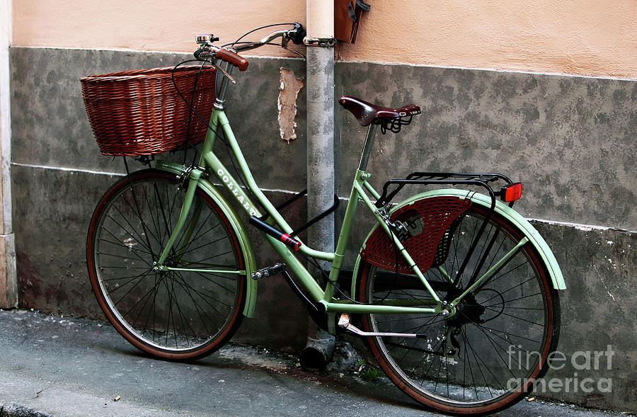 biciclette verdi