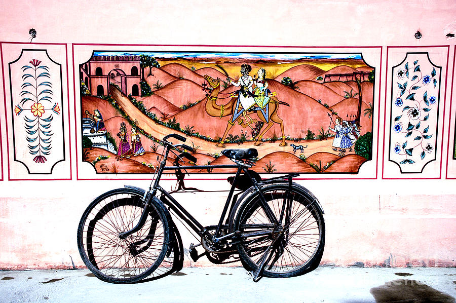 Bicycle and Camel Photograph by Rick Bragan