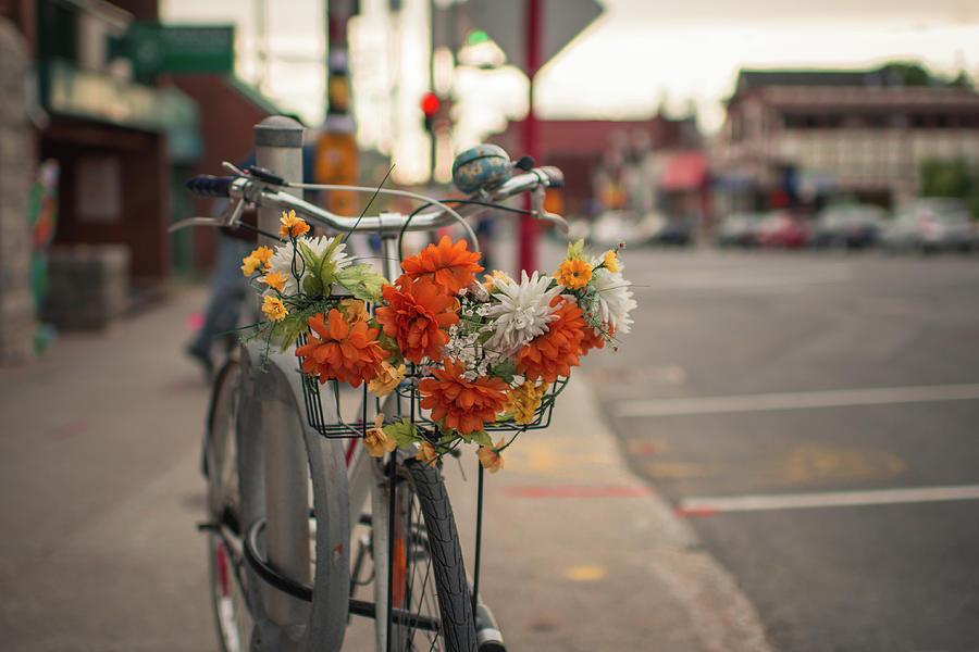 Bicycle And Floral Decorated Basket Photograph by Preappy