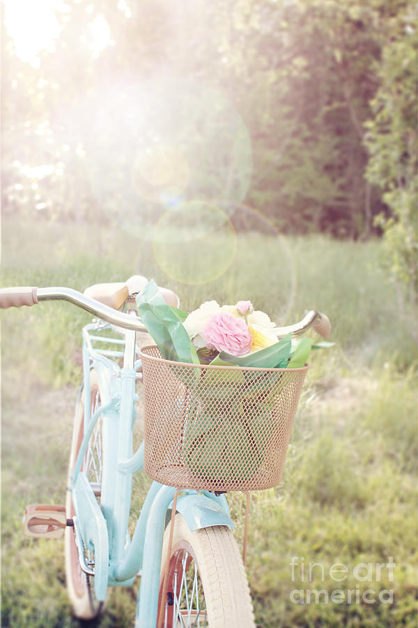 Bicycle and Flowers Photograph by Stephanie Frey