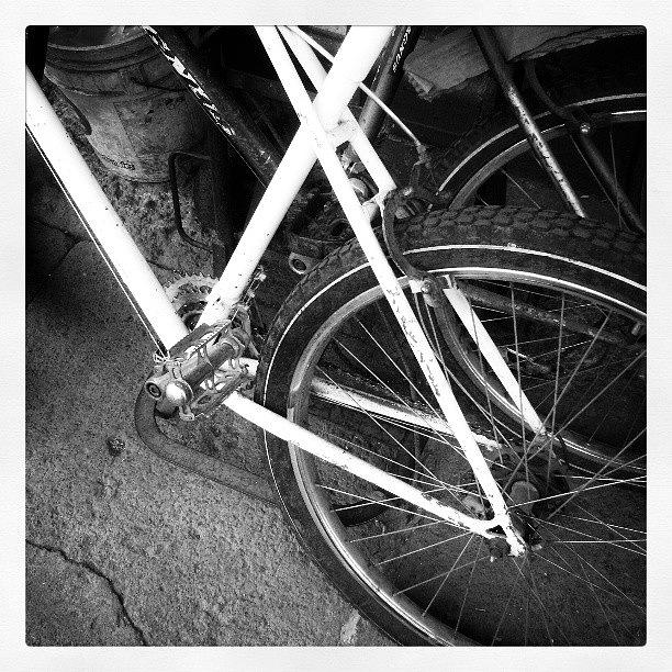 Bicycle Photograph - #bicycle #bike #wheel #chain #pedal by Joe Giampaoli