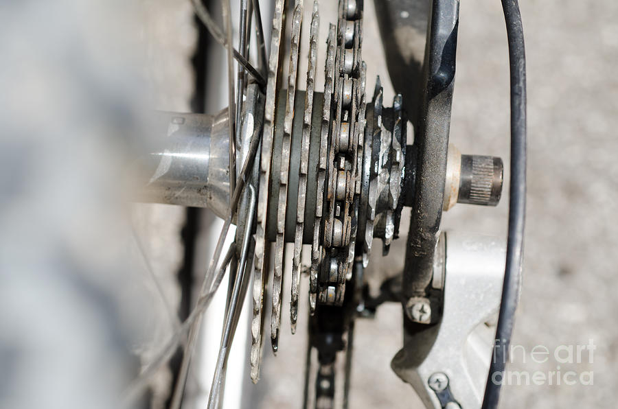 Bicycle Photograph - Bicycle cassette by Mats Silvan