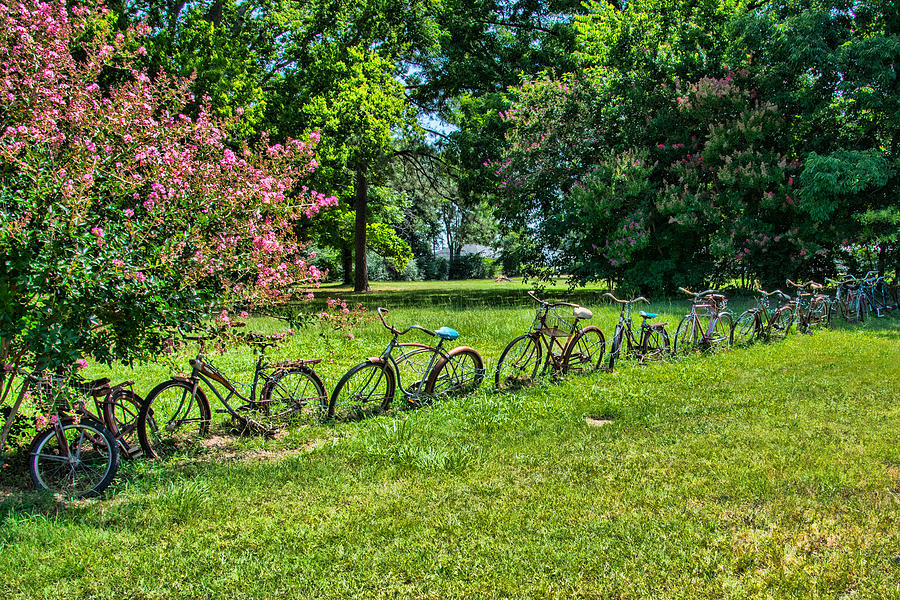 Bicycle Fence  Photograph by Jeanne May