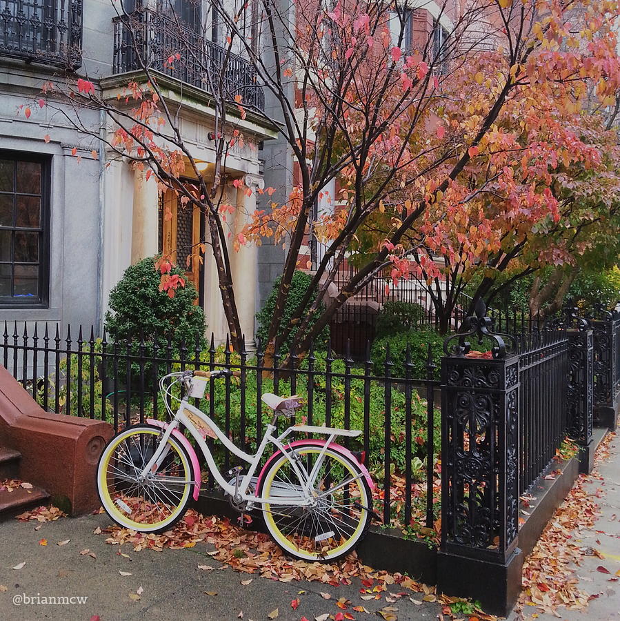Bicycle in Autumn Photograph by Brian McWilliams