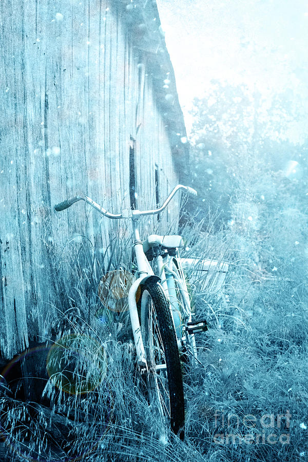 Bicycle in Blue Photograph by Stephanie Frey