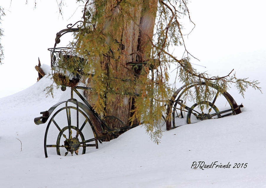Bicycle in Snow Photograph by PJQandFriends Photography