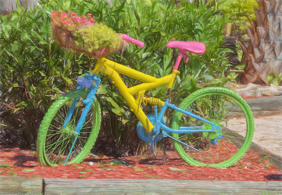 Bicycle of Colors Photograph by Kim Hojnacki